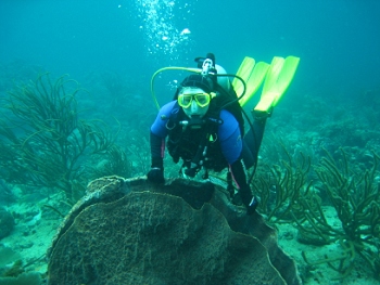 Diving in Tobago